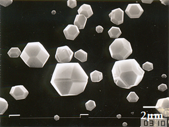 CVDダイヤモンド粒子の走査型電子顕微鏡像